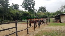 casa finca en venta ruitoque bajo - rio frio 