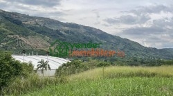 finca en venta chimita el palenque via cafe madrig