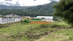 finca en venta chimita el palenque via cafe madrig