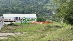 finca en venta chimita el palenque via cafe madrig