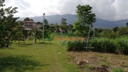 finca en venta piedecuesta barro blanco