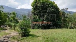 finca en venta piedecuesta barro blanco