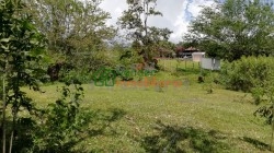 finca en venta floridablanca ruitoque bajo - la hormiga