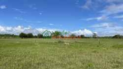 FINCA GANADERA EN VENTA BARRANCABERMEJA