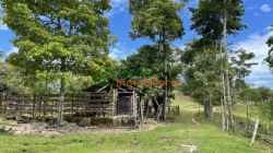 FINCA GANADERA EN VENTA BARRANCABERMEJA