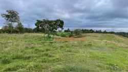 FINCA GANADERA EN VENTA BARRANCABERMEJA