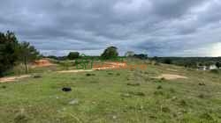 FINCA GANADERA EN VENTA BARRANCABERMEJA