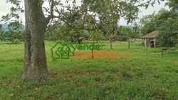 FINCA EN VENTA FLORIDABLANCA SANTANDER