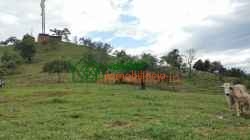 FINCA EN VENTA FLORIDABLANCA SANTANDER