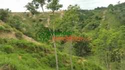 FINCA EN VENTA FLORIDABLANCA SANTANDER