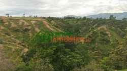 FINCA EN VENTA FLORIDABLANCA SANTANDER