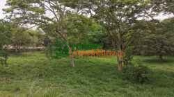 FINCA EN VENTA RIO FRIO ANILLO VIAL FLORIDABLANCA