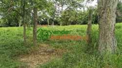 FINCA EN VENTA RIO FRIO ANILLO VIAL FLORIDABLANCA