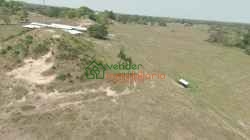 FINCA GANADERA EN VENTA SAN ALBERTO VIA SABANA DE TORRES