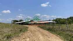 FINCA GANADERA EN VENTA SAN ALBERTO VIA SABANA DE TORRES