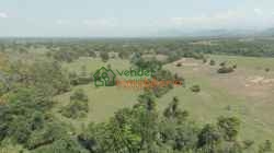 FINCA GANADERA EN VENTA SAN ALBERTO VIA SABANA DE TORRES