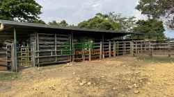 finca ganadera en venta sabana de torres