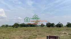 finca ganadera en venta sabana de torres