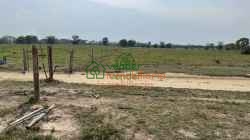 finca ganadera en venta sabana de torres