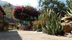 finca agricultora en venta tona via matanza