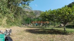 finca agricultora en venta tona via matanza