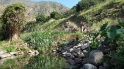 finca agricultora en venta tona via matanza