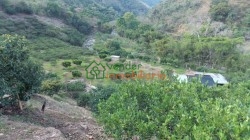 finca agricultora en venta tona via matanza