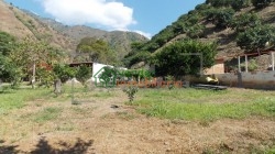 finca agricultora en venta tona via matanza