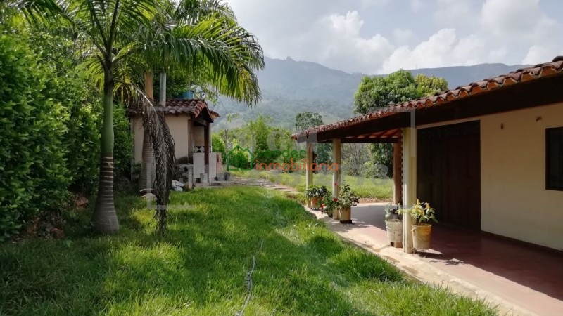 finca en venta piedecuesta barro blanco