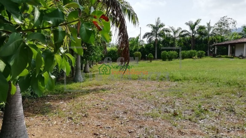 finca en venta piedecuesta barro blanco