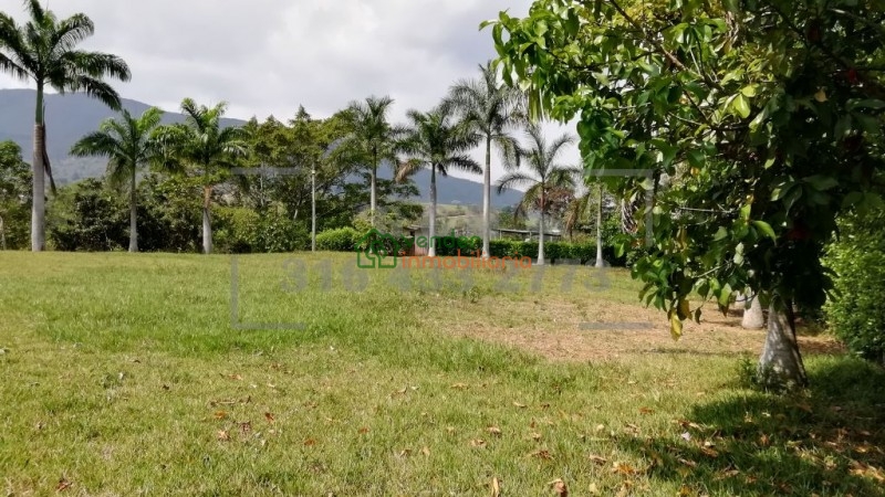 finca en venta piedecuesta barro blanco