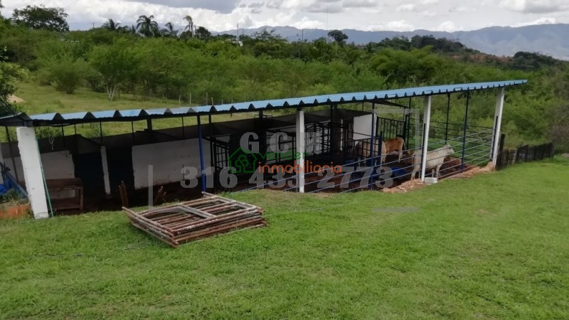 finca en venta floridablanca ruitoque bajo - la hormiga