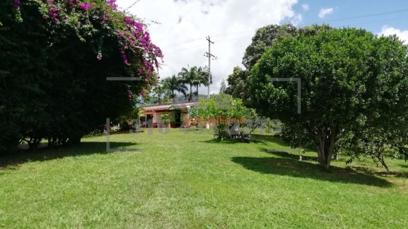 finca en venta floridablanca ruitoque bajo - la hormiga