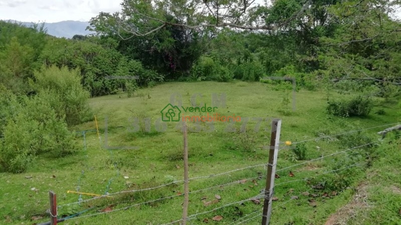 finca en venta floridablanca ruitoque bajo - la hormiga