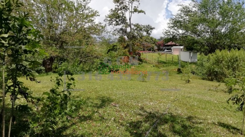 finca en venta floridablanca ruitoque bajo - la hormiga