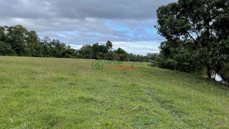 FINCA GANADERA EN VENTA BARRANCABERMEJA