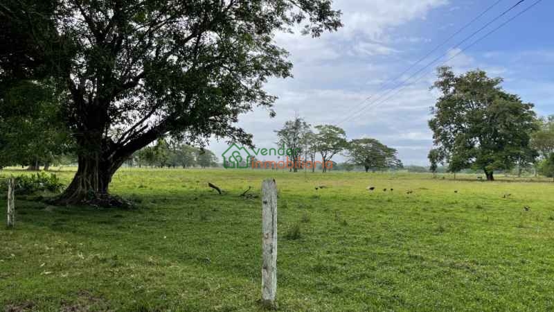 FINCA GANADERA EN VENTA BARRANCABERMEJA