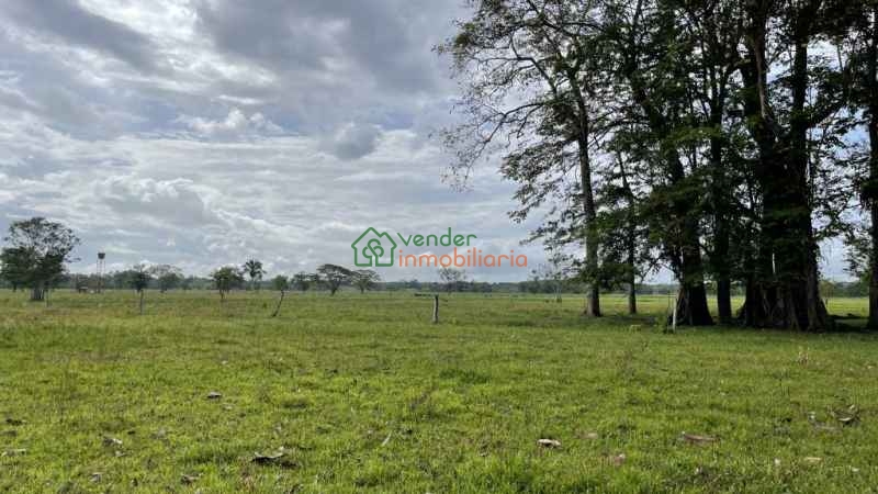 FINCA GANADERA EN VENTA BARRANCABERMEJA