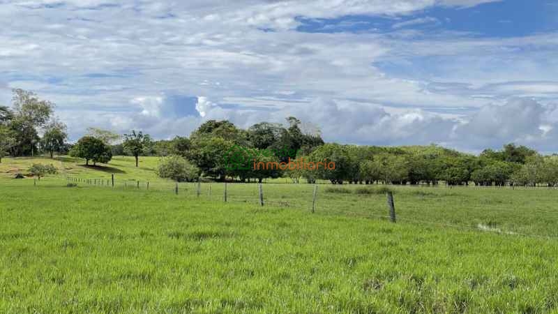 FINCA GANADERA EN VENTA BARRANCABERMEJA