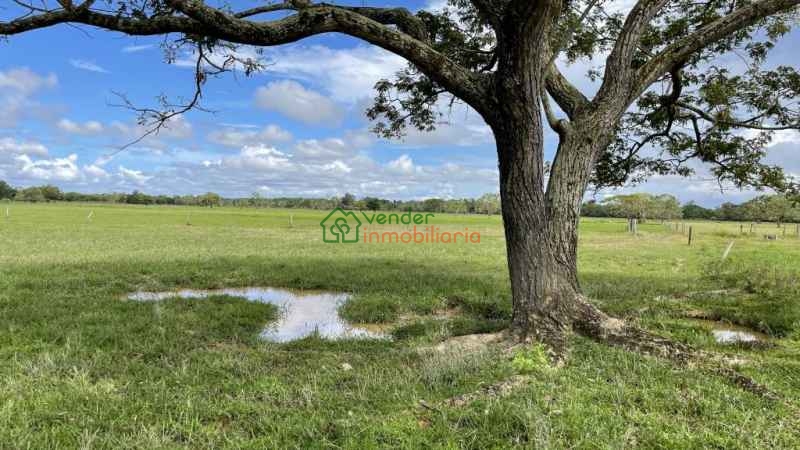 FINCA GANADERA EN VENTA BARRANCABERMEJA