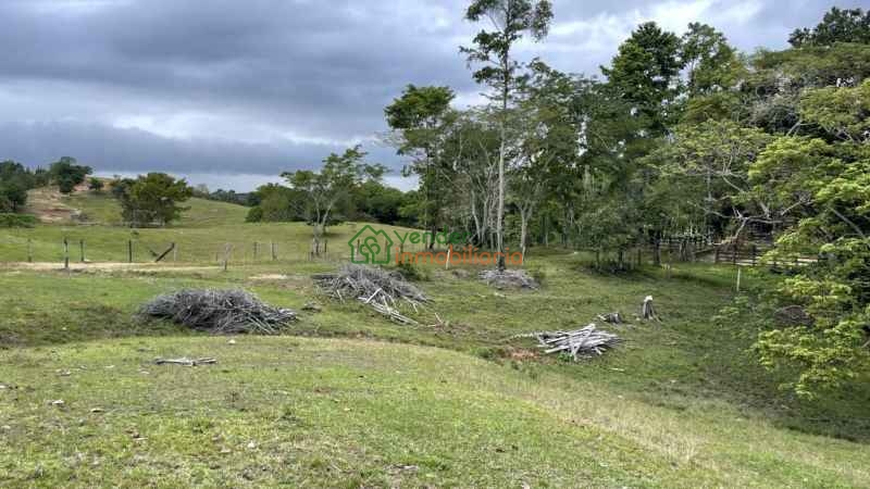 FINCA GANADERA EN VENTA BARRANCABERMEJA