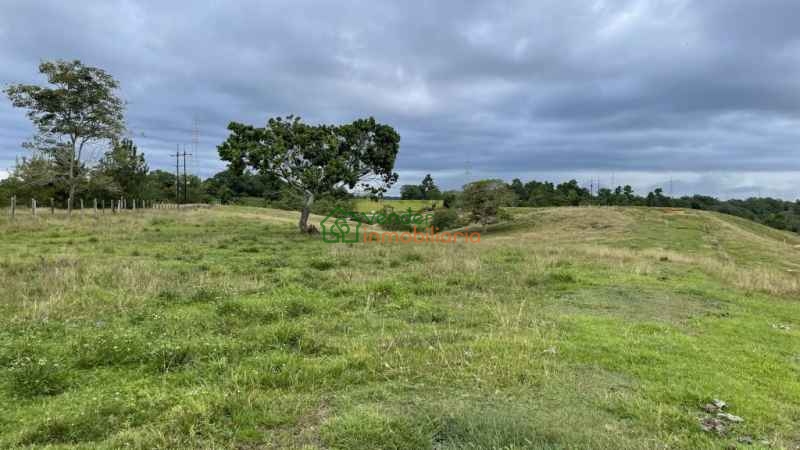 FINCA GANADERA EN VENTA BARRANCABERMEJA