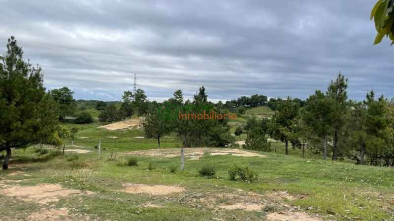 FINCA GANADERA EN VENTA BARRANCABERMEJA