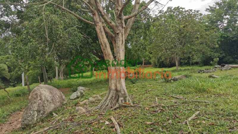 FINCA EN VENTA RIO FRIO ANILLO VIAL FLORIDABLANCA