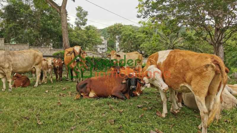 FINCA EN VENTA RIO FRIO ANILLO VIAL FLORIDABLANCA