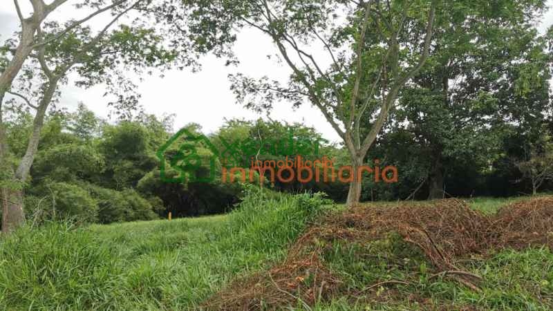 FINCA EN VENTA RIO FRIO ANILLO VIAL FLORIDABLANCA