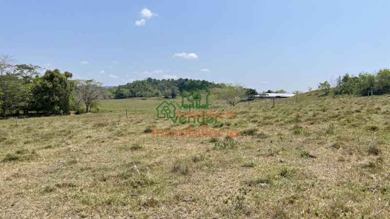 FINCA GANADERA EN VENTA SAN ALBERTO VIA SABANA DE TORRES