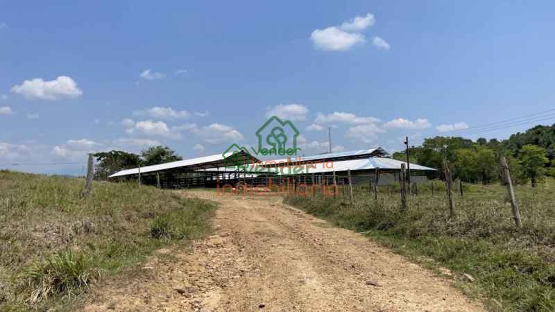 FINCA GANADERA EN VENTA SAN ALBERTO VIA SABANA DE TORRES