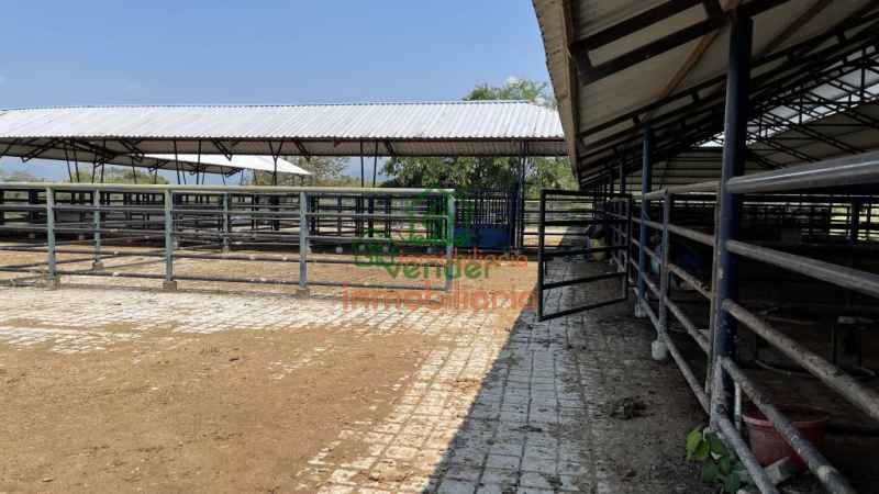 FINCA GANADERA EN VENTA SAN ALBERTO VIA SABANA DE TORRES