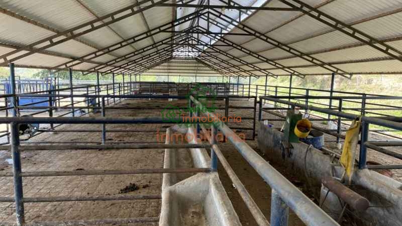 FINCA GANADERA EN VENTA SAN ALBERTO VIA SABANA DE TORRES